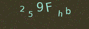 Validation image