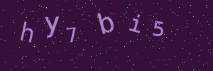 Validation image