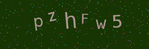 Validation image