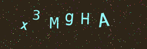 Validation image
