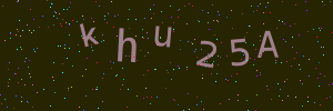 Validation image