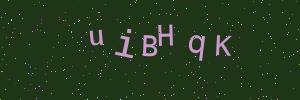 Validation image