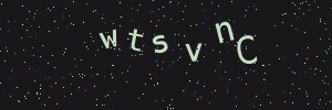 Validation image
