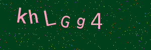 Validation image