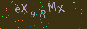 Validation image