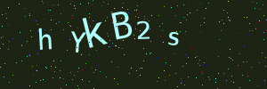 Validation image