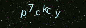 Validation image