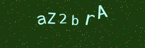 Validation image