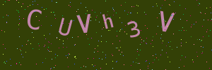 Validation image