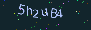 Validation image