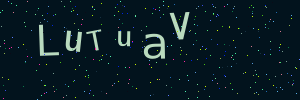 Validation image
