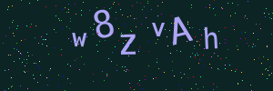 Validation image