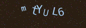 Validation image