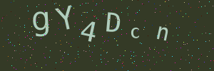 Validation image