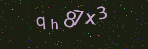 Validation image