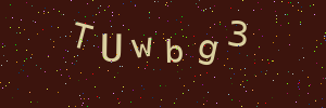 Validation image