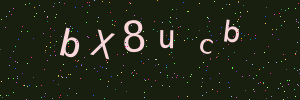 Validation image