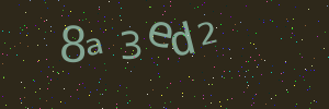 Validation image