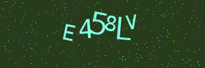Validation image