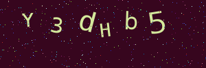 Validation image