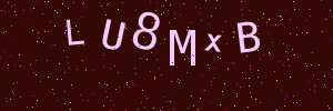 Validation image