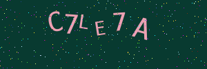Validation image