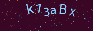 Validation image