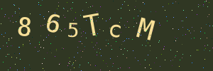 Validation image