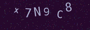 Validation image