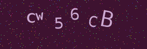Validation image