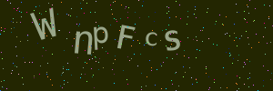 Validation image
