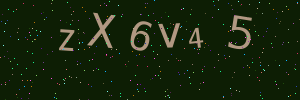 Validation image