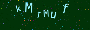 Validation image