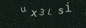 Validation image