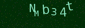 Validation image