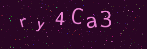 Validation image