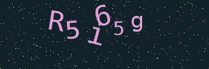 Validation image