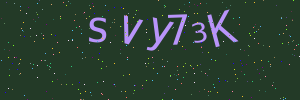 Validation image