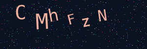 Validation image