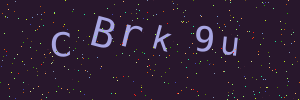 Validation image