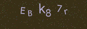 Validation image
