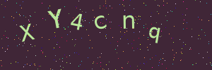 Validation image
