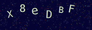 Validation image