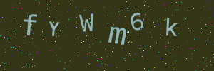 Validation image