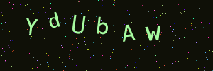 Validation image