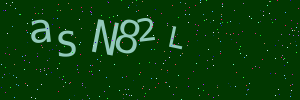 Validation image