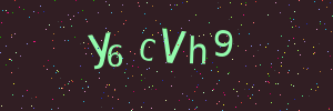 Validation image