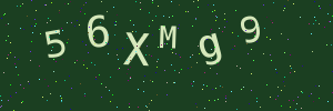 Validation image