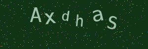 Validation image