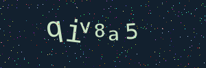 Validation image